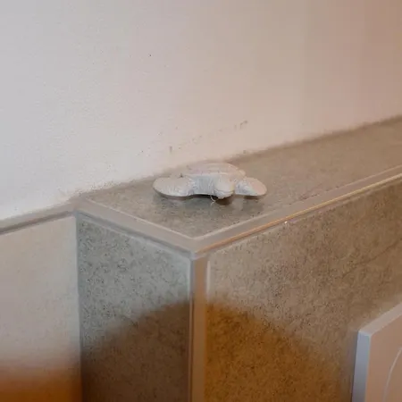 Casa Di Elisa *